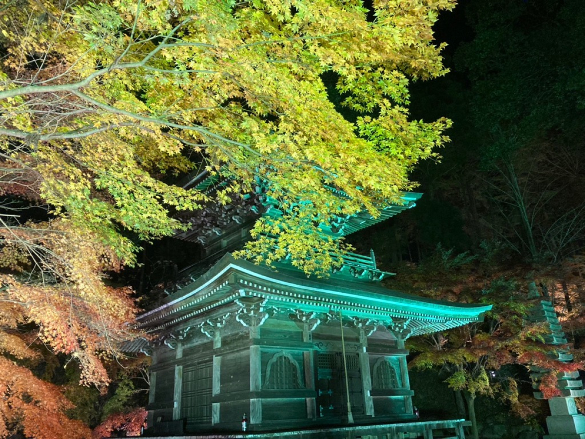 イベント「御朱印と紅葉を巡る文化財ガイドツアーin益子～ライトアップでフィナーレ～」を実施します