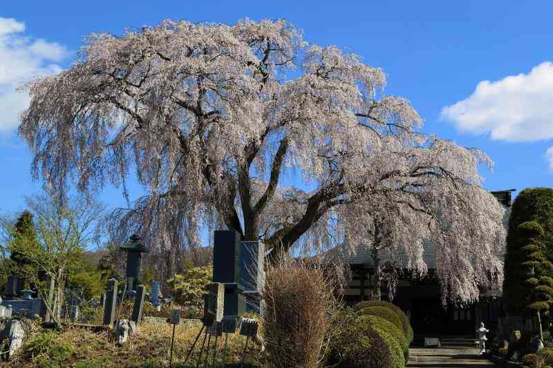 光明寺